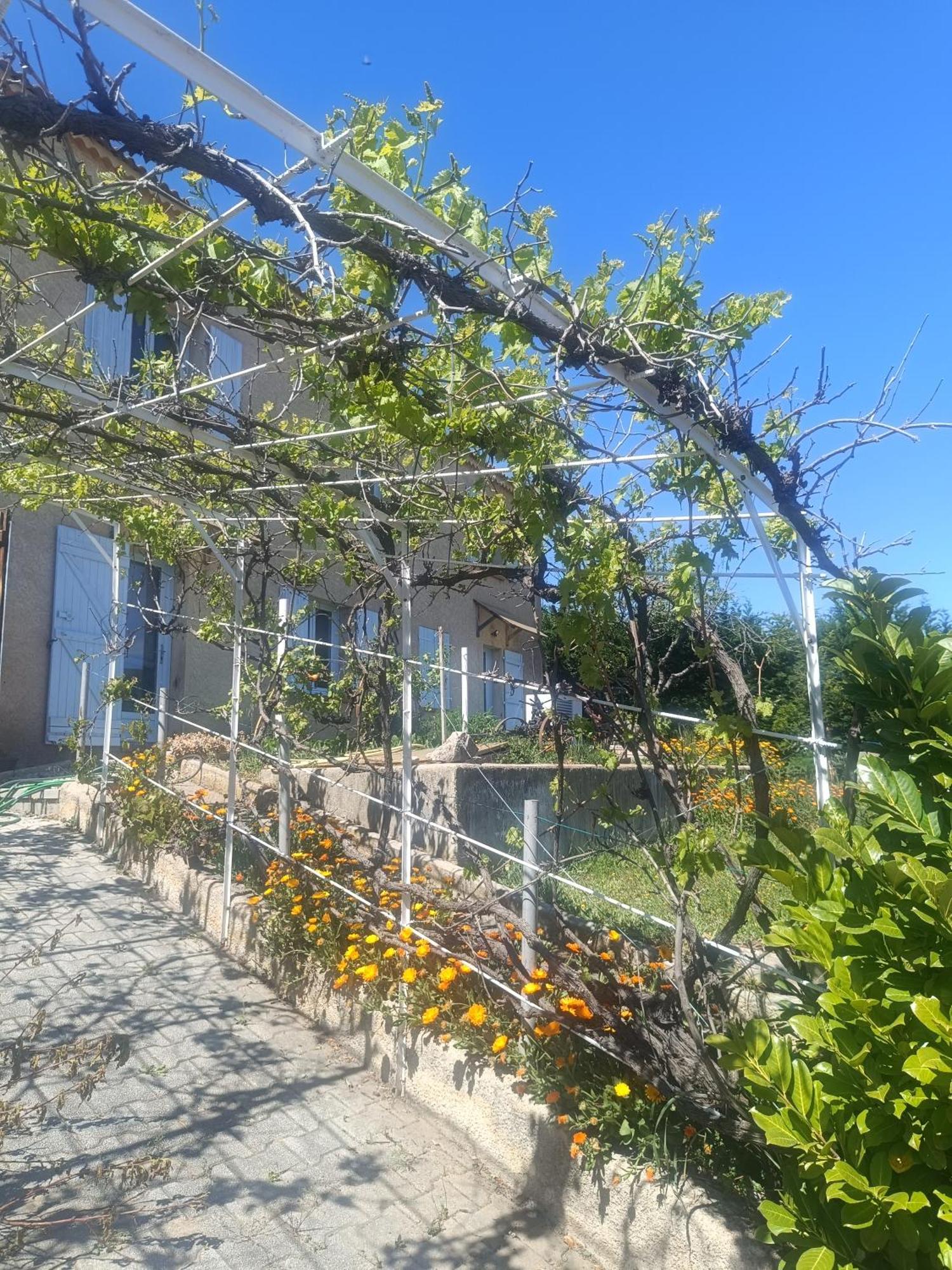Appartamento Hysope Chateau-Arnoux-Saint-Auban Esterno foto
